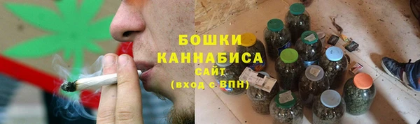 крисы Тобольск