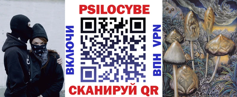 закладки  Луховицы  Галлюциногенные грибы Psilocybe 